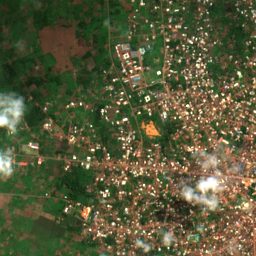 Satellite view of the site on 2025-06-07
