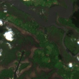 Satellite view of the site on 2026-02-15