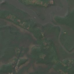 Satellite view of the site on 2025-01-11