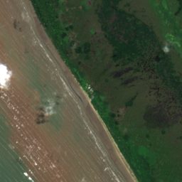 Satellite view of the site on 2025-05-11